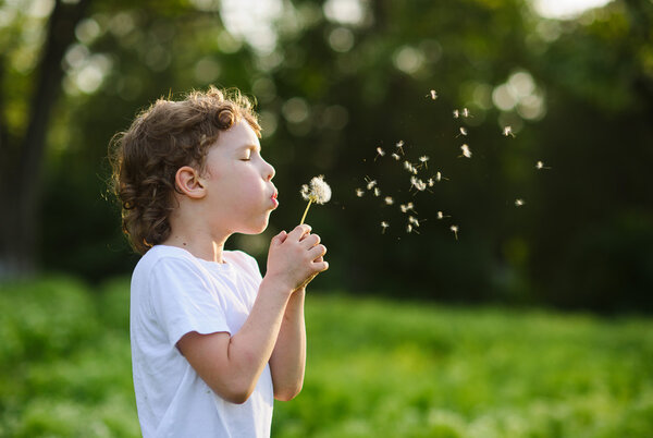 Child holding a dandelion