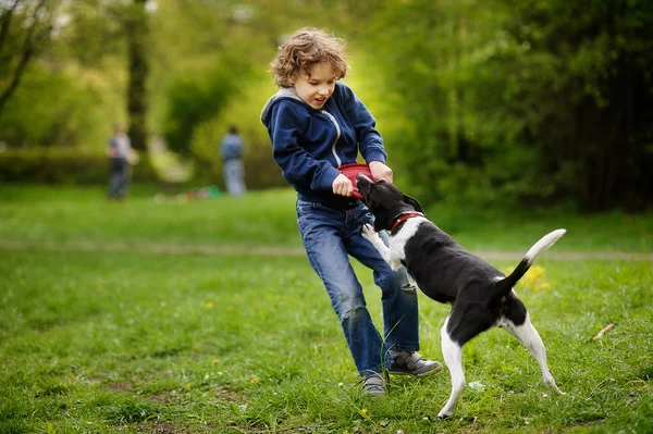 Lockenkopf spielt mit Hund im Park Stockbild