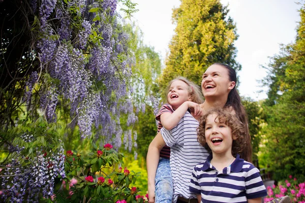 Young woman with two children in the summer park — Stock Photo, Image