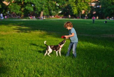 The boy of 8-9 years plays together with the doggy on a green grass in park. clipart
