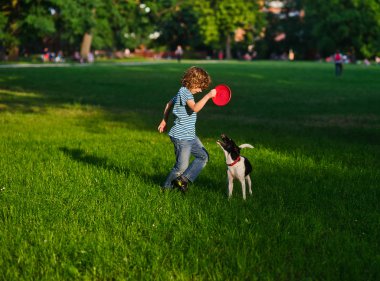 8-9 yaşındaki çocuk köpeği eğitir..