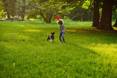 Kıvırcık çocuk parkta bir çimenlikte köpek eğitiyor.
