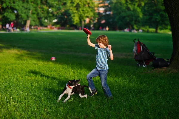 The boy plays in park with the dog. — Stock Photo, Image