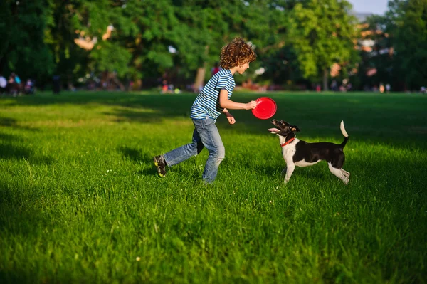 Niño rubio jugando con su perro blanco y negro en el césped en el parque . — Foto de Stock