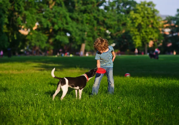 El chico travieso juega con el perrito en un claro verde en el parque . — Foto de Stock