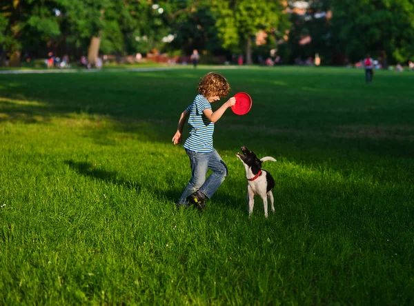 The boy of 8-9 years trains the dog. — Stock Photo, Image