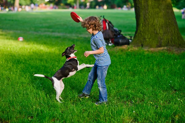 El muchacho de 8-9 años juega en el parque con el perro . — Foto de Stock