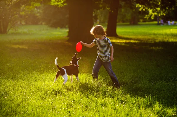 El muchacho de 8-9 años entrena en el parque con el perro . — Foto de Stock