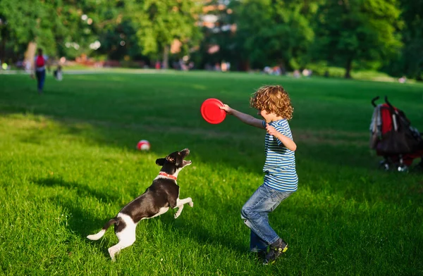Çocuk köpekle çimenlikte oynuyor..