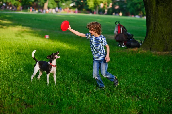 The little fellow trains a dog in park. — Stock Photo, Image