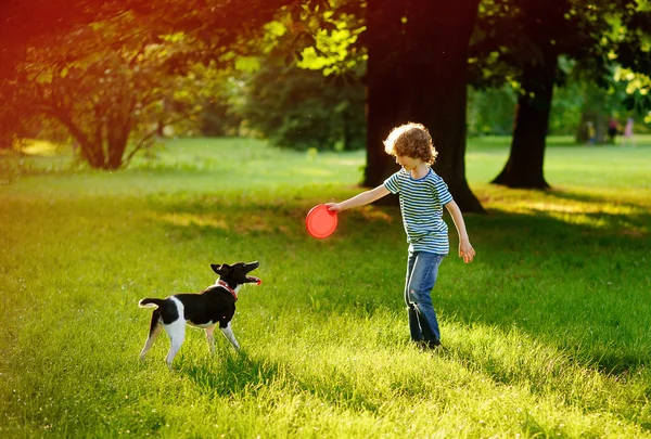 The boy of 8-9 years trains in park with the dog. — Stock Photo, Image