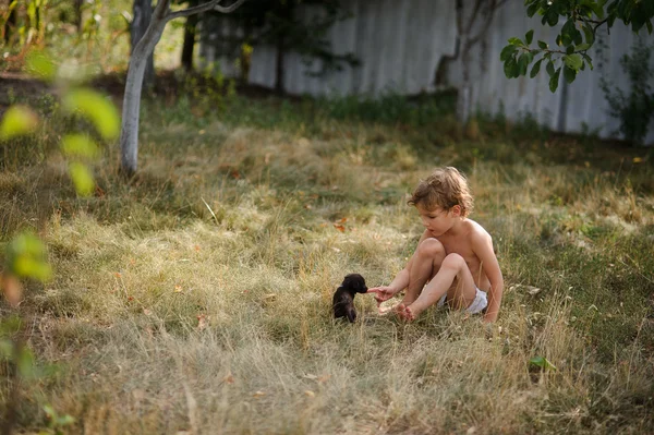 The little boy plays with a tiny puppy. — Stock Photo, Image