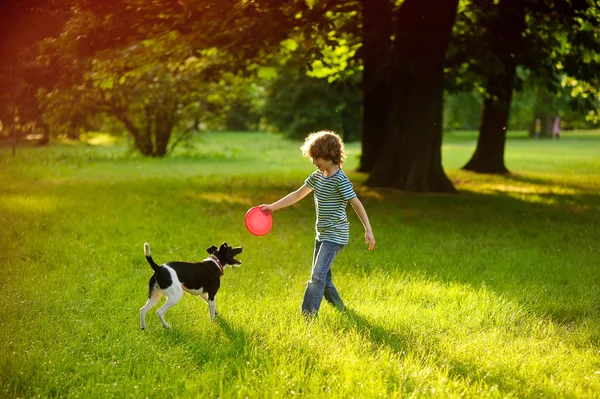 The little fellow trains a dog in park. — Stock Photo, Image