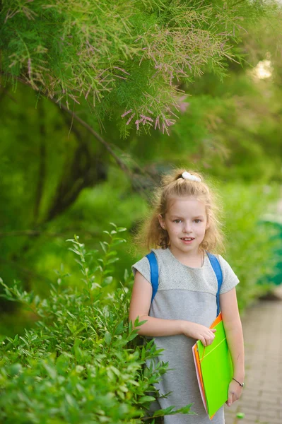 Das kleine Schulmädchen steht auf der Vegetation im Hintergrund des Parks. — Stockfoto