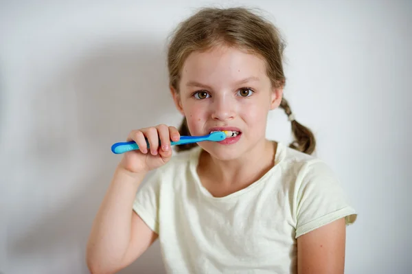 Kleines Mädchen mit Zöpfen putzt fleißig seine Zähne. — Stockfoto