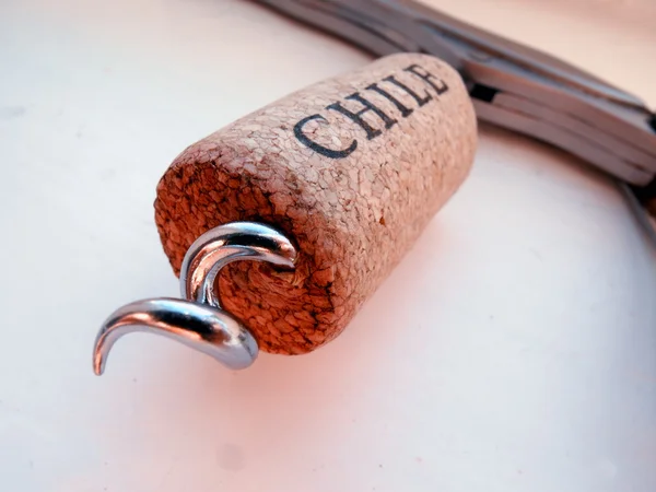 şarap cork ile düşünüp