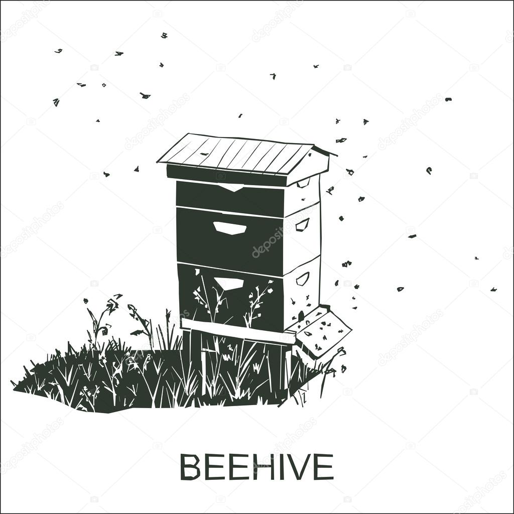 Beehive vector isolated