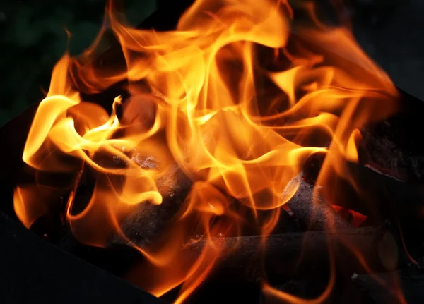 Burning logs close-up — Stock Photo, Image