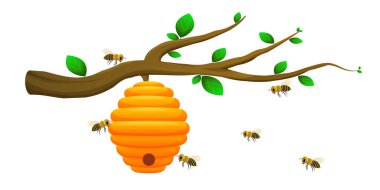 Etrafta arılar uçuşurken bir ağaç dalında arı kovanı. Çizgi film tarzı. Doğa ve ekoloji kavramı, bal üretimi, takım çalışması ve sürdürülebilirlik. Vektör illüstrasyonu beyaz arkaplanda izole edildi.