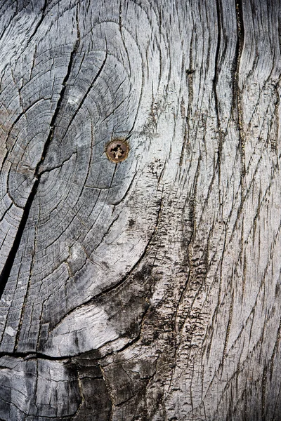 Abstract wooden background — Stock Photo, Image