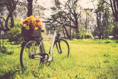 Bisiklet çiçekli