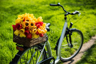 Bisiklet bir hasır sepet ve bahar çiçekleri ile
