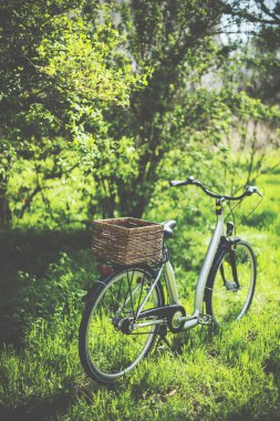 Bisiklet ile bir hasır sepet