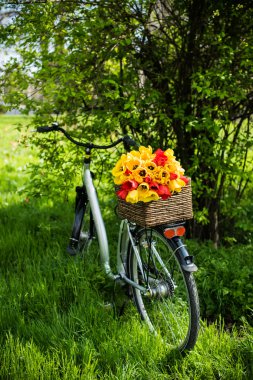Bisiklet çiçekli