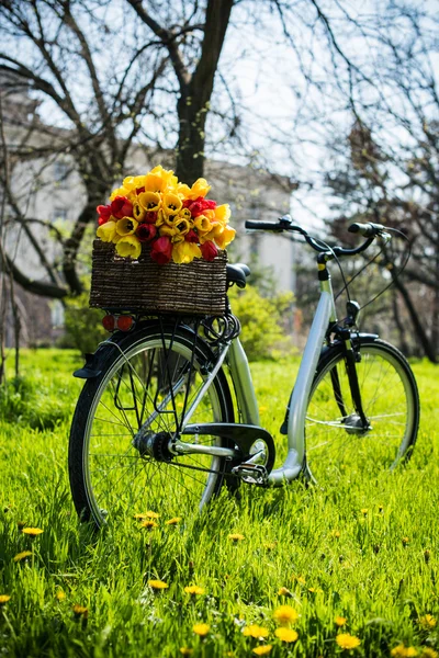 Fiets met bloemen — Stockfoto