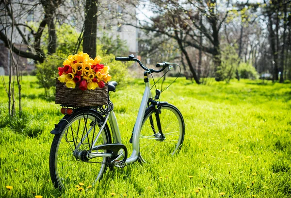 Fiets met bloemen — Stockfoto