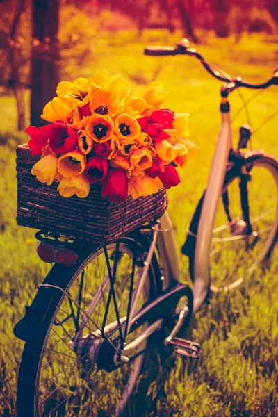 Fiets met bloemen — Stockfoto