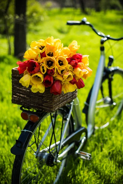 Fiets met bloemen — Stockfoto