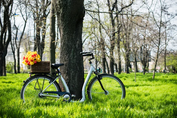 Bicicleta con flores — Foto de Stock