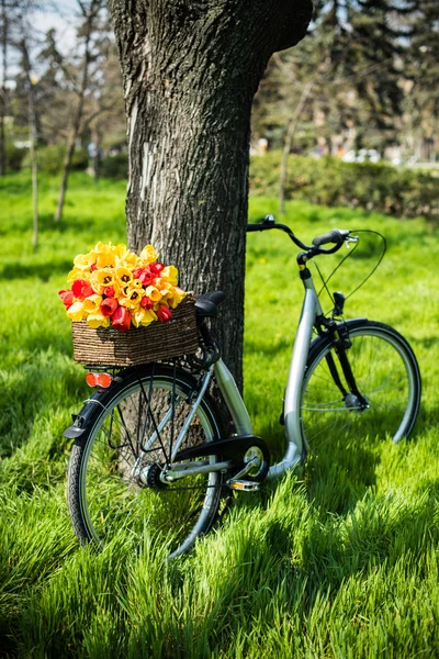 Fiets met bloemen — Stockfoto