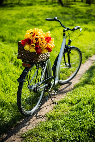 Bicicleta con una cesta de mimbre y flores de primavera — Foto de Stock