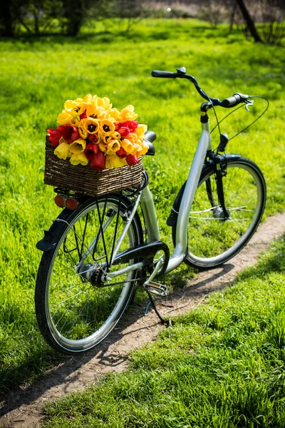 Fiets met een rieten mand en lente bloemen — Stockfoto