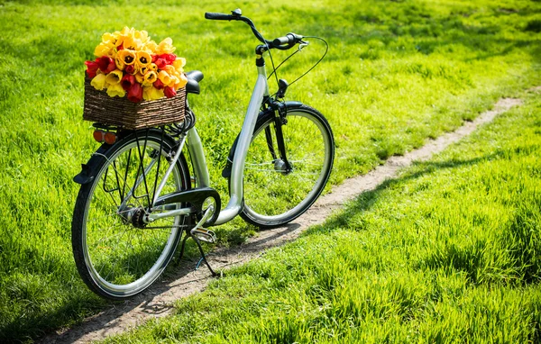 Bicicleta com uma cesta de vime e flores de primavera — Fotografia de Stock