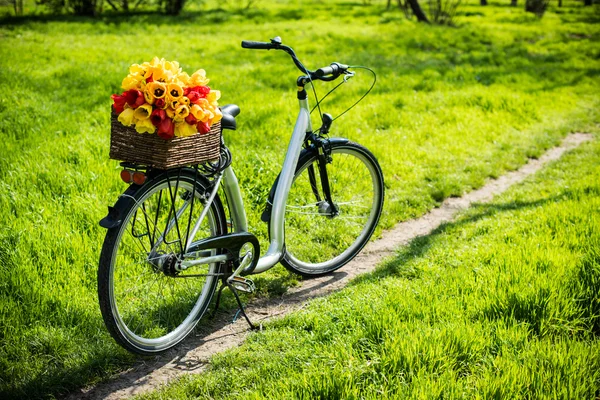 Bicicleta con una cesta de mimbre y flores de primavera — Foto de Stock