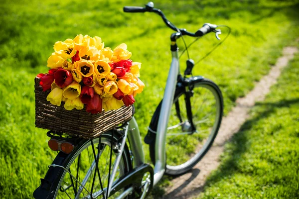 Bicicleta con una cesta de mimbre y flores de primavera — Foto de Stock