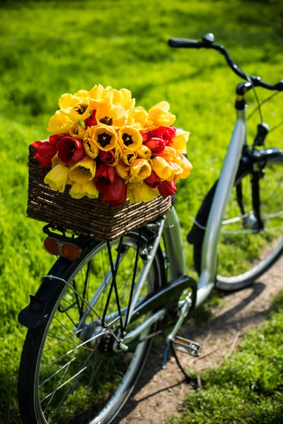 Fiets met een rieten mand en lente bloemen — Stockfoto