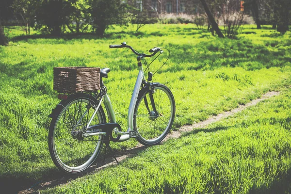 Bicicleta con una cesta de mimbre — Foto de Stock