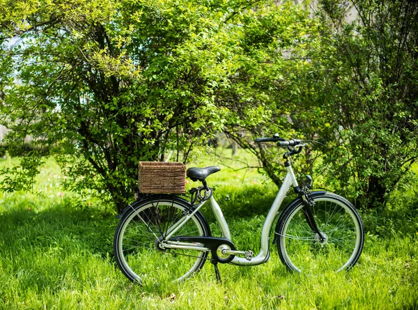 Bicicleta con una cesta de mimbre — Foto de Stock