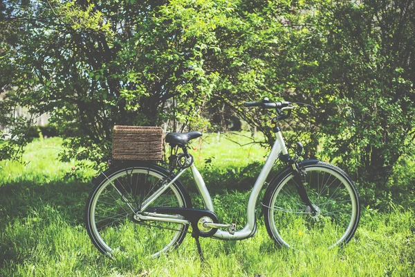 Rower z wiklinowym koszu — Zdjęcie stockowe