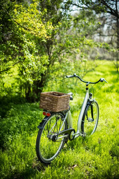 Bicicleta con una cesta de mimbre — Foto de Stock