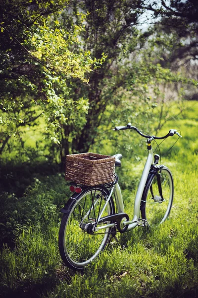 Bicicleta con una cesta de mimbre — Foto de Stock