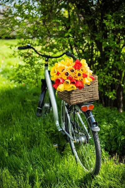 Bicicleta con flores — Foto de Stock