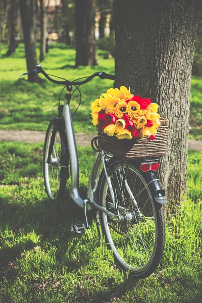 Fiets met bloemen — Stockfoto