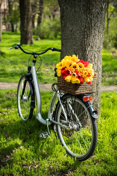 Fiets met bloemen — Stockfoto