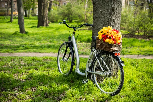 Fiets met bloemen — Stockfoto