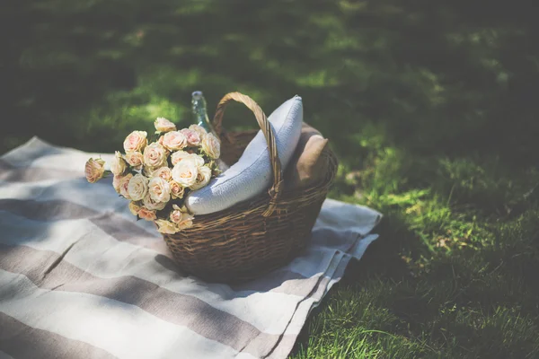 Wiosną piknik w parku — Zdjęcie stockowe